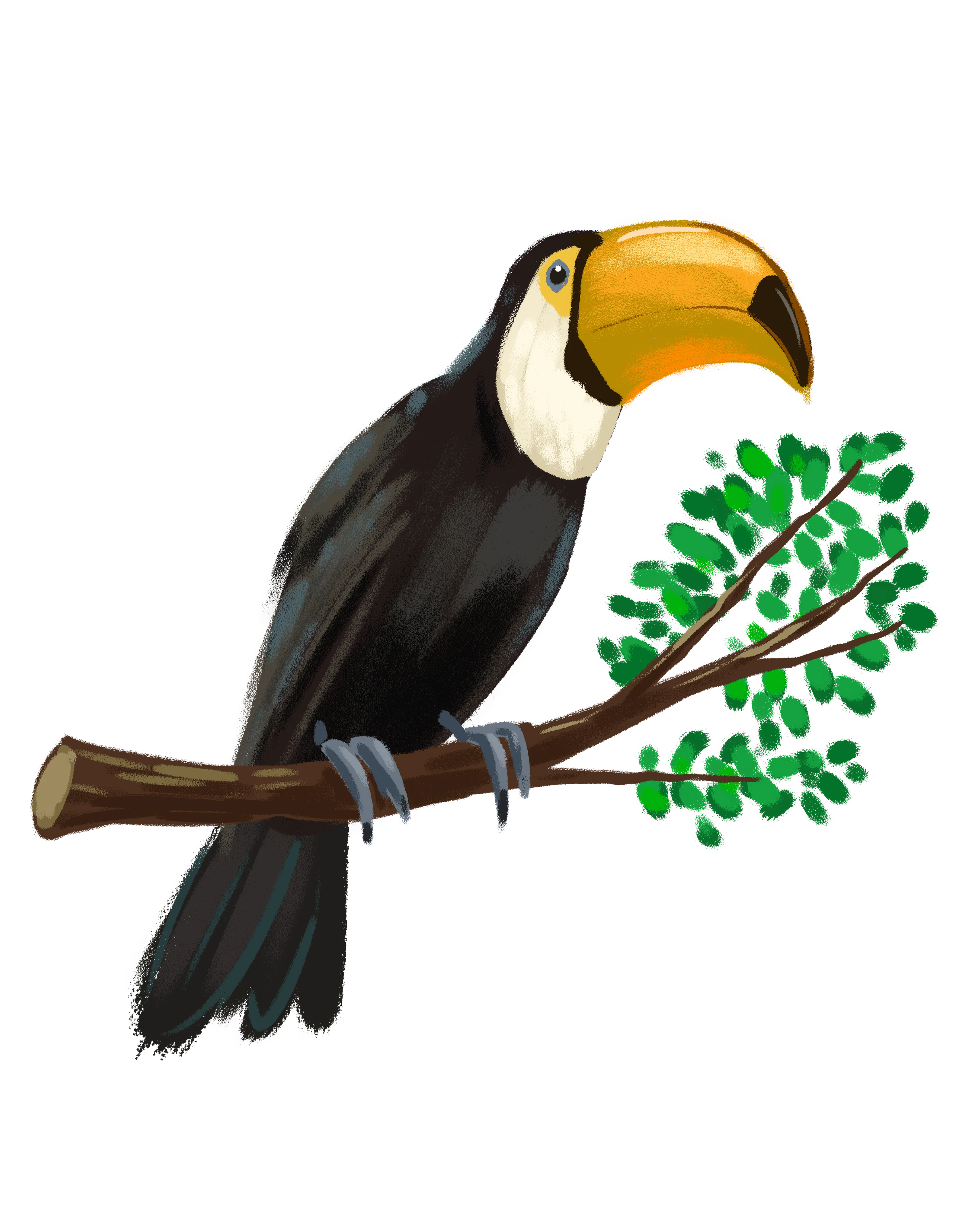 Fauna de la región