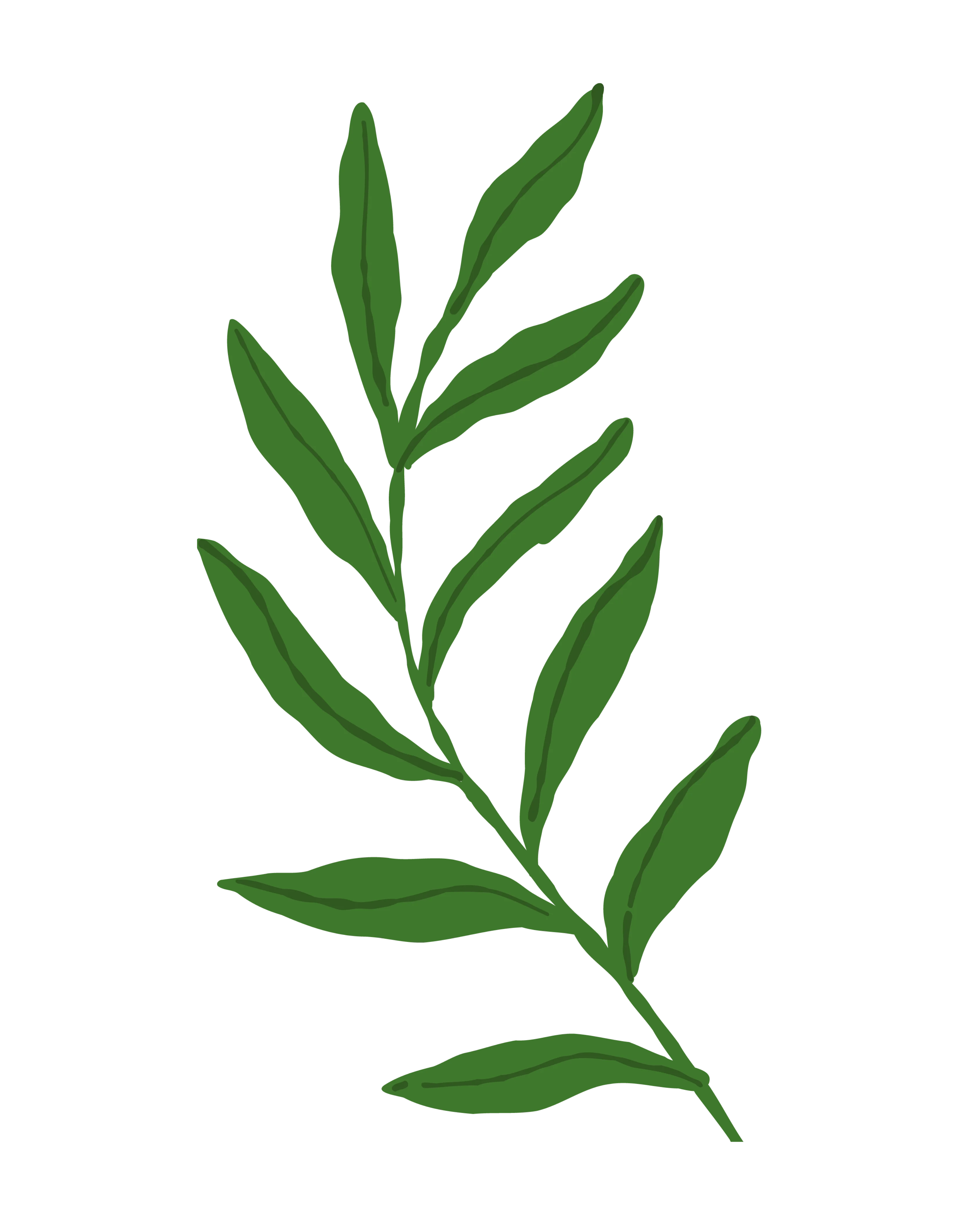 Fauna de la región