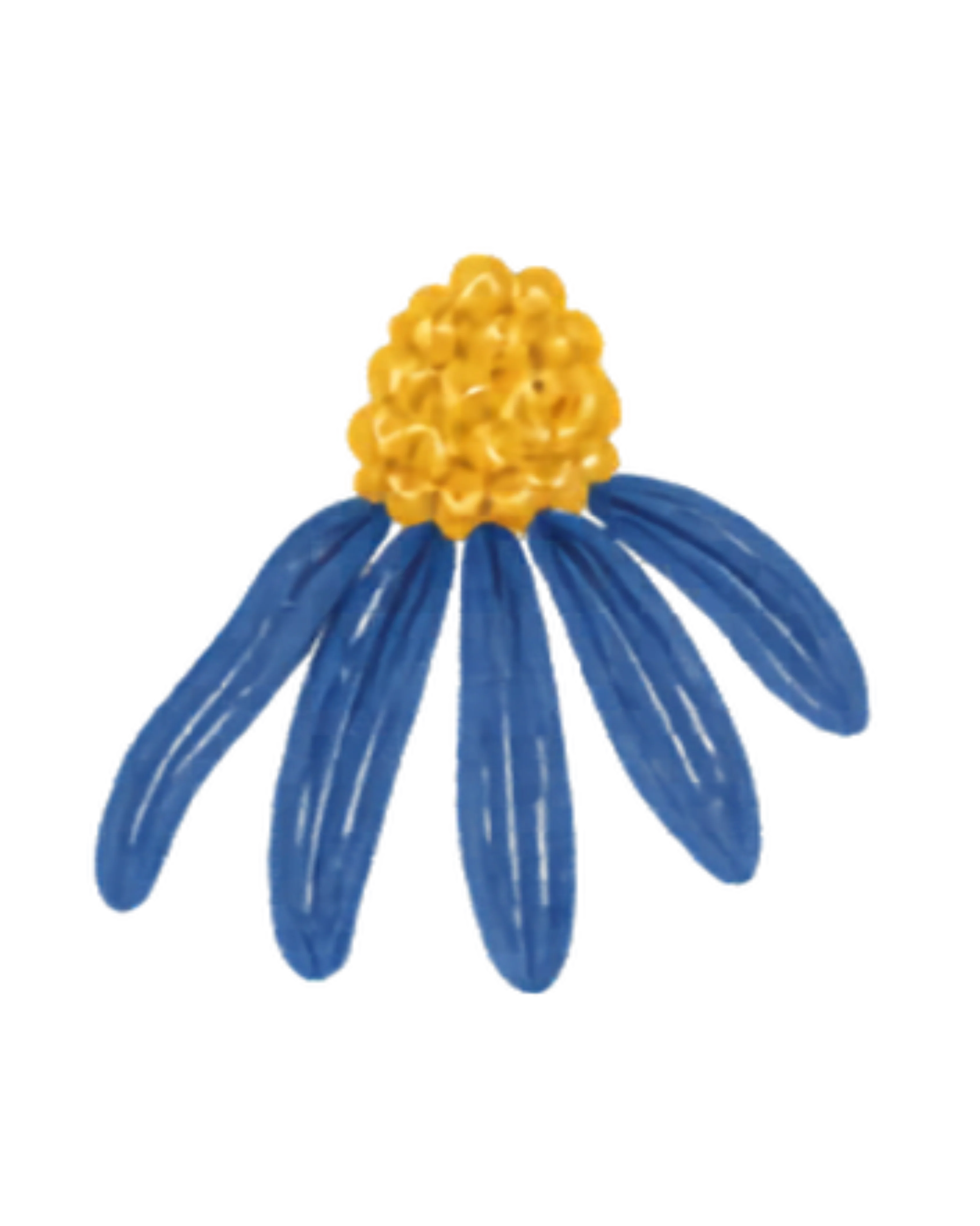 Fauna de la región