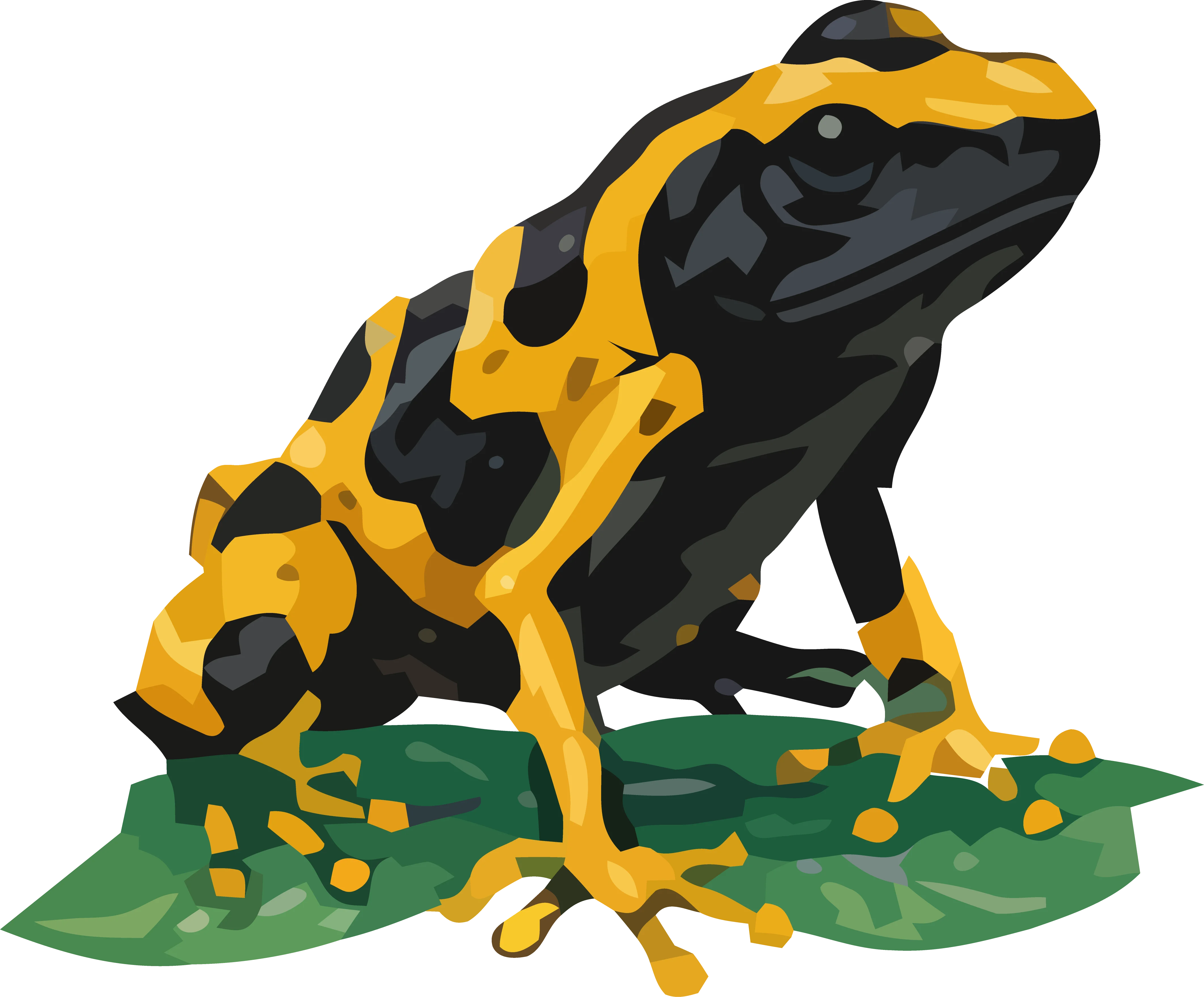 Fauna de la región