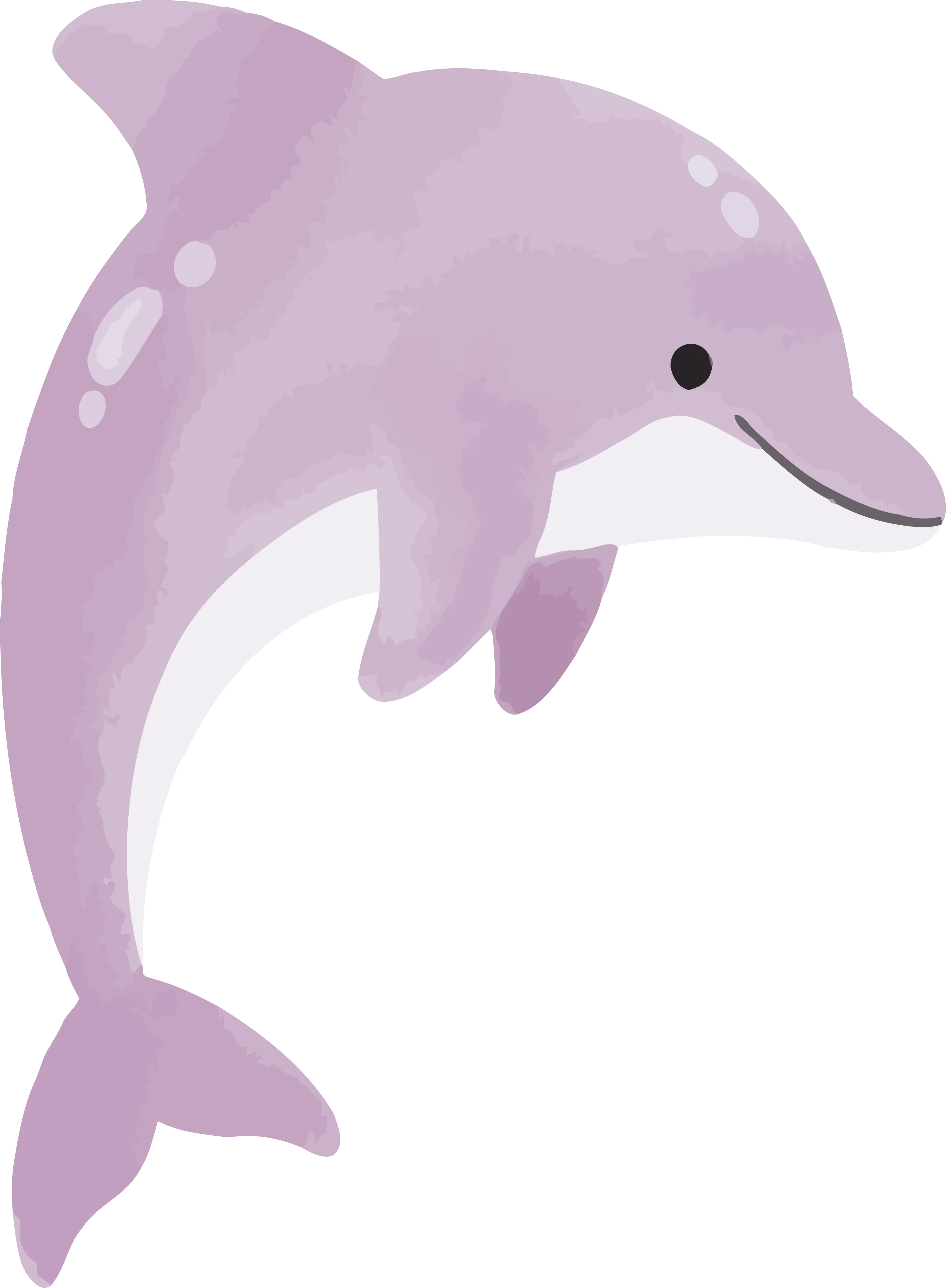 Fauna de la región